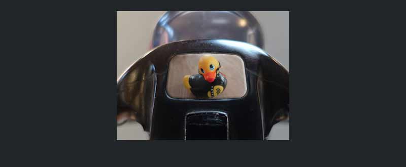 Male chastity device : Duck