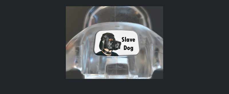Male chastity device : Slave Dog