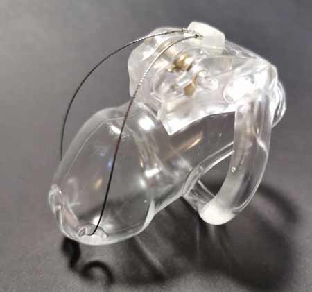 Male chastity device - Prince Albert