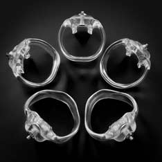 HolyTrainer V6 - Ring Only